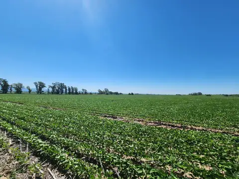 7 HECTAREAS EN VENTA, ALTA GRACIA