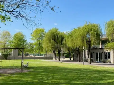 Carola Lorenzini 4900