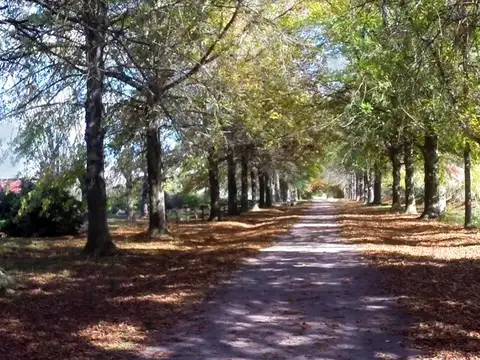 Lote en venta en La Colina Golf  &amp; Polo Club