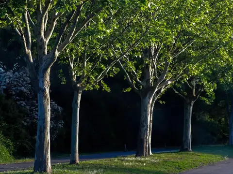 Lote/terreno 8883m2 en venta en La Colina Villa de Campo, Luján