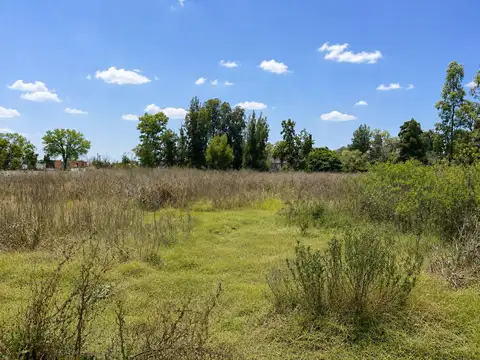 Terreno en Venta en Benavidez, Partido de Tigre