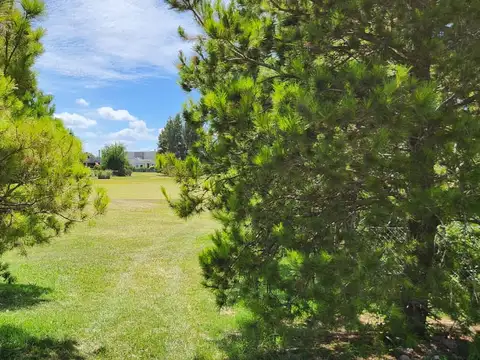 Terreno en Venta de 13566,0 m2