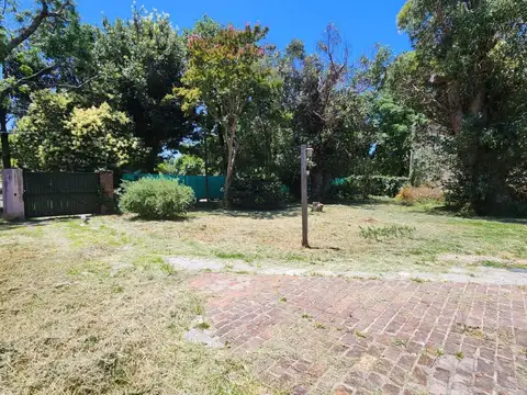 Dardo Rocha al 284 Acassuso