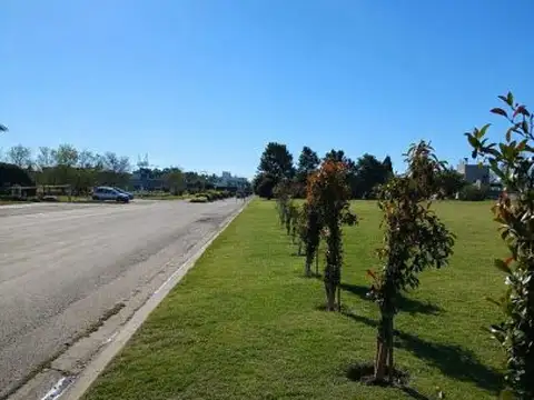 Terreno en Venta de 860,0 m2