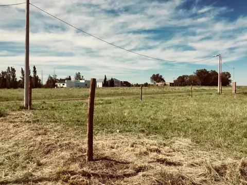 Juan Manuel Belgrano y 4