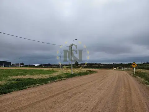 RUTA 5 100