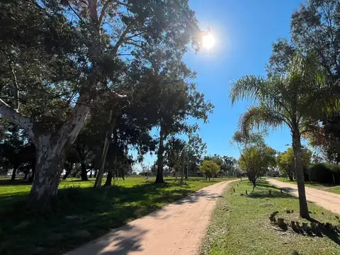 Terreno en Venta de 804,0 m2