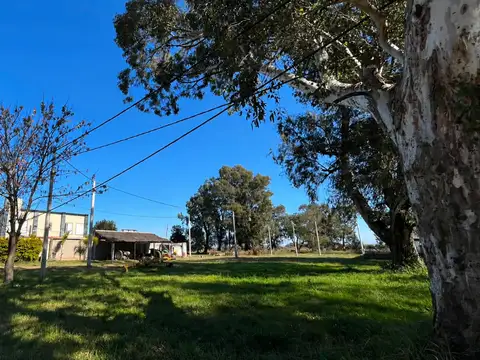 Terreno en Venta de 804,0 m2