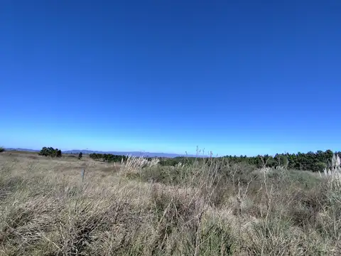 Terreno en Venta de 420,0 m2