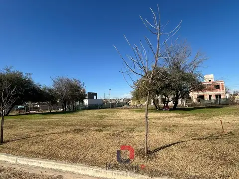 Terreno en Venta de 350,0 m2