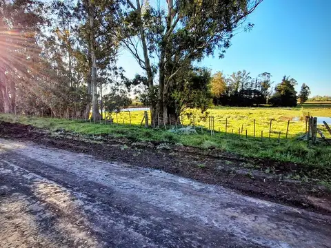 Terreno en Venta de 10000,0 m2