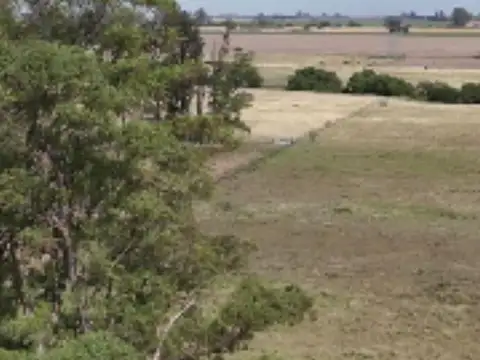 Campo en San Pedro - Mixto - Mejoras - Casco - Molinos - Tanque -