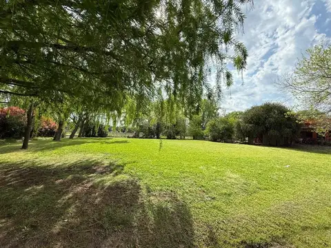 El Cardal 1