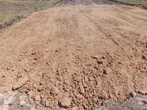 Consultar dirección