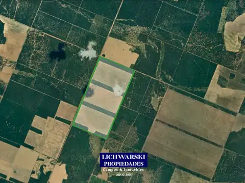 Venta Campo Agrícola 200 Hectáreas Limpias | Us$5.000/ha | Pampa del Infierno, Chaco.