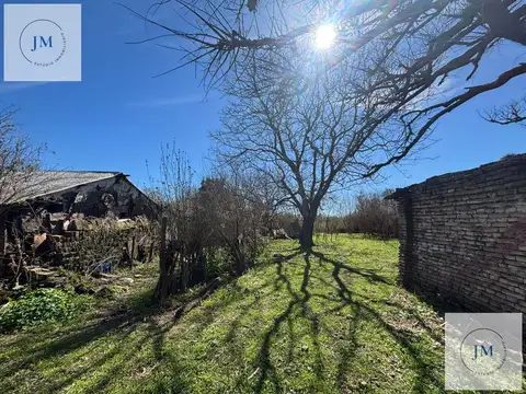 Inversión y naturaleza en Carmen de Areco.