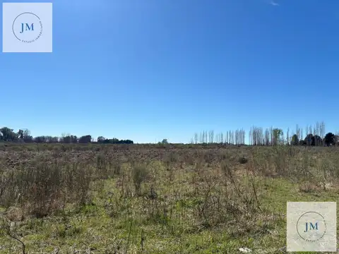 Ruta 51 km 113
