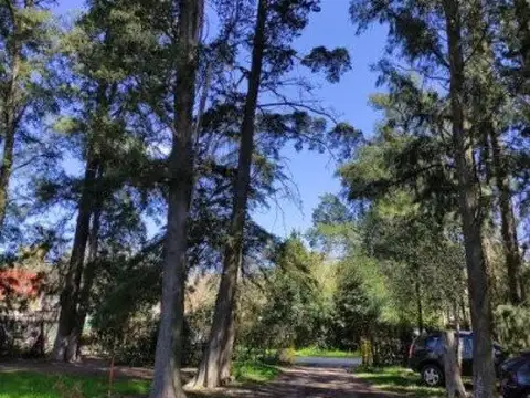 Terreno en Venta 63  mts Frente