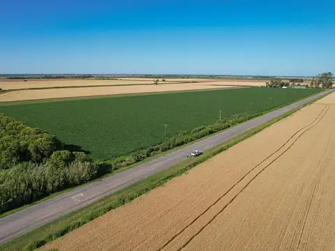 Campo Agricola en Venta en Alvarez