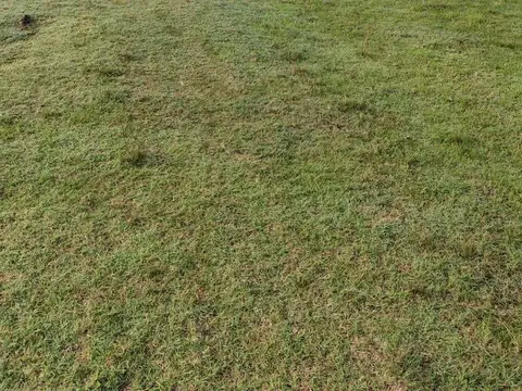 VENTA CAMPO 12 HECTAREAS EX. DE LA CRUZ APTO LOTEO