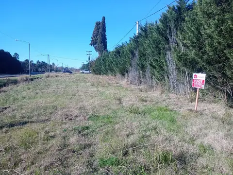 Mojón  al 200