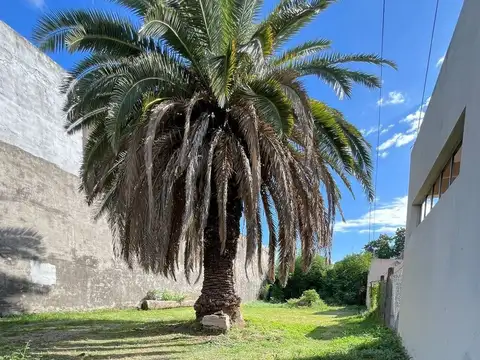 Terreno en Venta de 368,0 m2