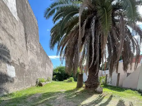 Terreno en Venta de 368,0 m2