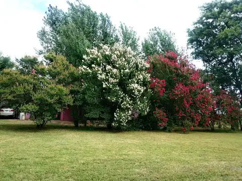 VENTA CASA EN 1 HECTAREA DE LOTE CAÑADA DE GOMEZ