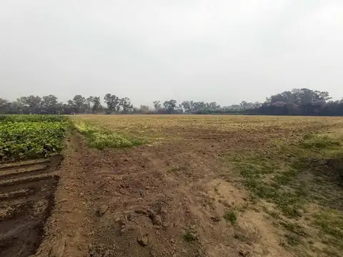 Camino Nuestra Sra. del Rosario 5360