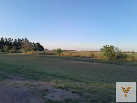RP 31, General Obligado