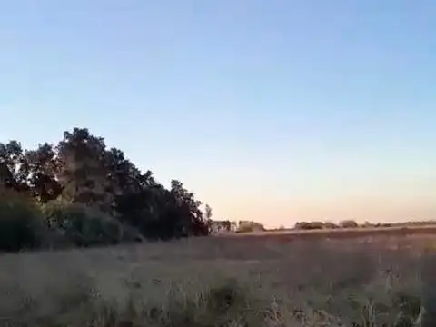 Terreno en Venta de 40000,0 m2