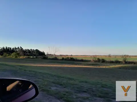 Terreno en venta - 4 Hectareas - General Obligado