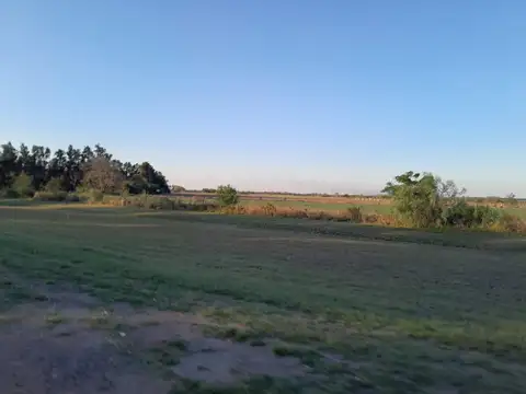 RP 31, General Obligado