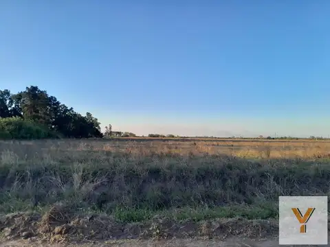 Terreno en venta - 4 Hectareas - General Obligado
