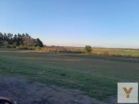 Terreno en Venta de 40000,0 m2