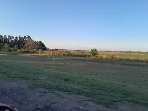 Terreno en Venta de 40000,0 m2