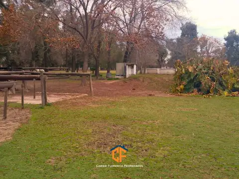 Calle Camino A Navarro