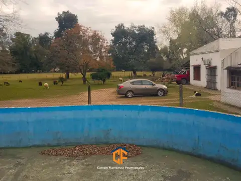 Calle Camino A Navarro