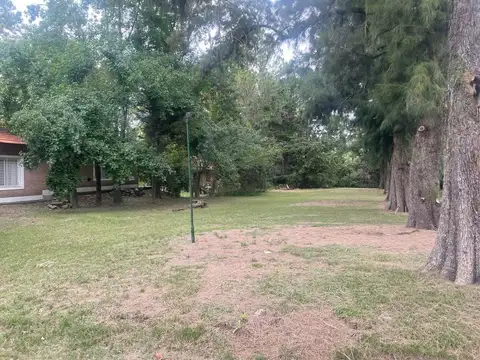 LOS QUINCHOS UF 56 PILAR 100