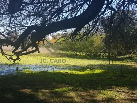 Campo Ganadero en Rivadavia Banda Norte