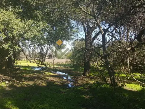 Campo Ganadero en Rivadavia Banda Norte