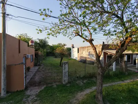 Calle 81