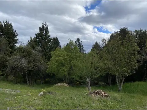 Terreno en Venta en San Martin de los Andes, USD 122.956