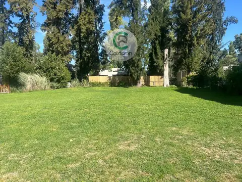 Almafuerte 1500