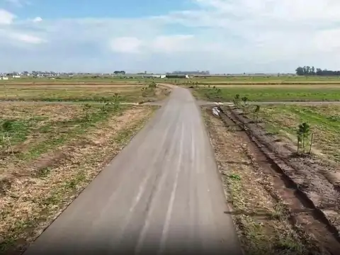 Tomas De La Torre Y Jose Hernandez