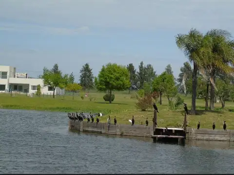 Terreno en Venta en Countries y Barrios Cerrados en Campana, USD 60.000