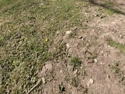 Lote a la venta en San Juan Chico