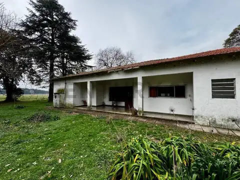 Campo en Venta en San Andres de Giles, Partido de San Andrés de Giles