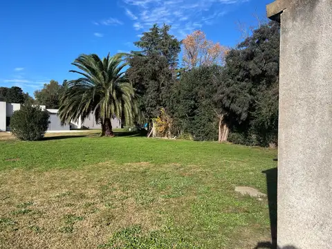 Lote Forestado – Lobos