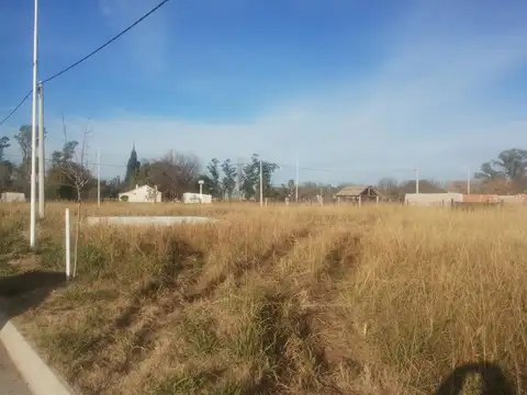 Palo Borracho S/n